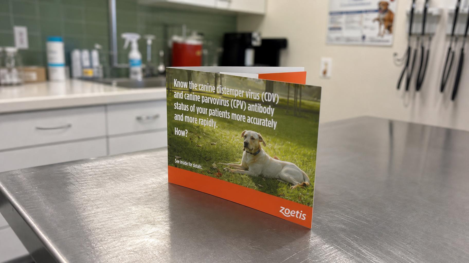 zoetis big pharma direct mailer brochure marketing