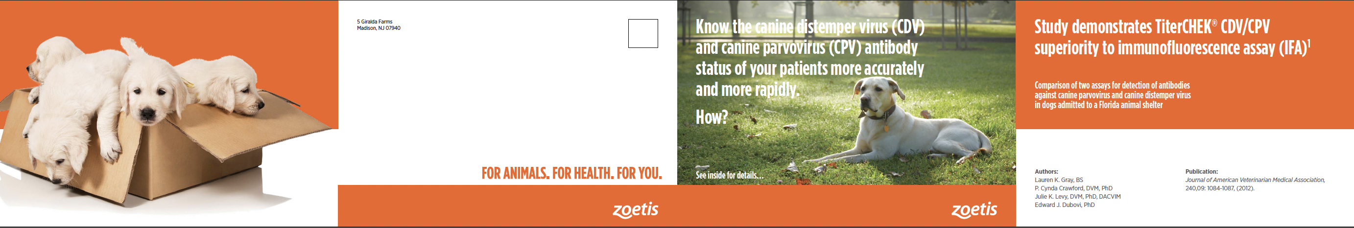 zoetis pharmaceutical brochure design inside