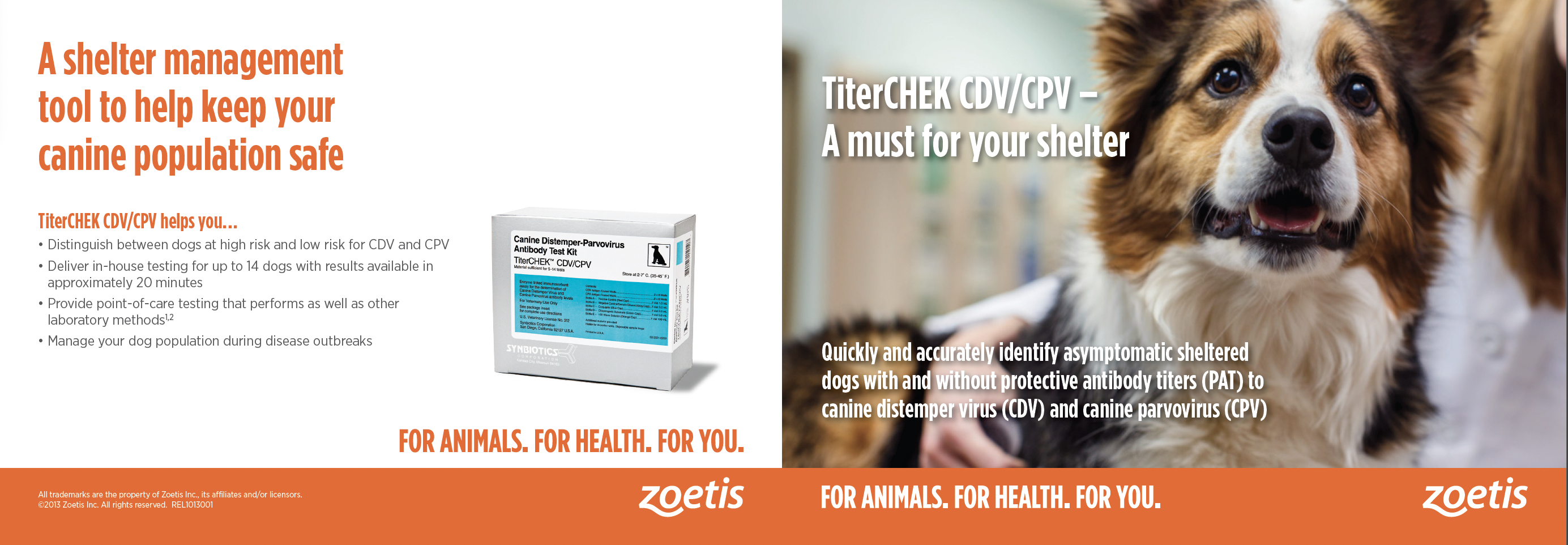 zoetis sales aid brochure design